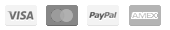 logo paiement